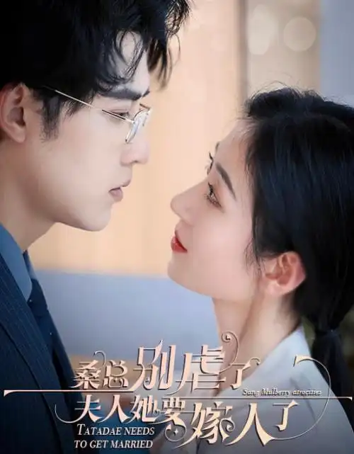 年代剧长夜将明全集在线观看